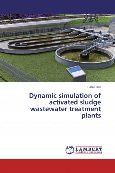 Dynamic simulation of activated sludge wastewater treatment plants
