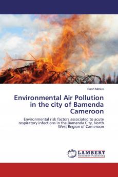 Environmental Air Pollution in the city of Bamenda Cameroon