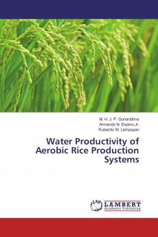 Water Productivity of Aerobic Rice Production Systems