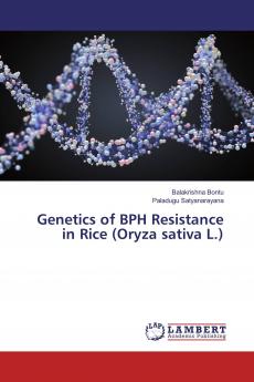 Genetics of BPH Resistance in Rice (Oryza sativa L.)