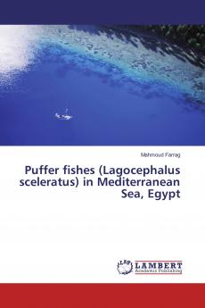 Puffer fishes (Lagocephalus sceleratus) in Mediterranean Sea Egypt