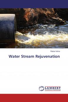 Water Stream Rejuvenation