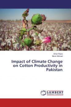 Impact of Climate Change on Cotton Productivity in Pakistan