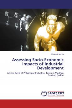 Assessing Socio-Economic Impacts of Industrial Development