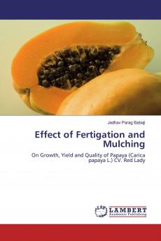Effect of Fertigation and Mulching