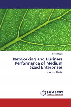 Networking and Business Performance of Medium Sized Enterprises