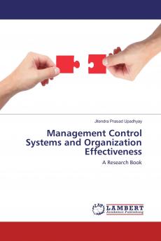 Management Control Systems and Organization Effectiveness
