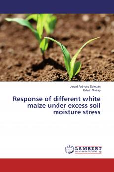 Response of different white maize under excess soil moisture stress
