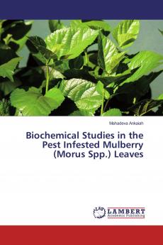 Biochemical Studies in the Pest Infested Mulberry (Morus Spp.) Leaves