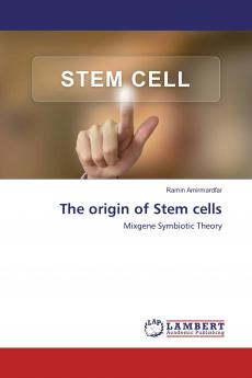 The origin of Stem cells