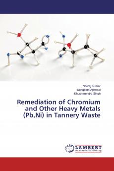Remediation of Chromium and Other Heavy Metals (PbNi) in Tannery Waste