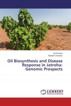 Oil Biosynthesis and Disease Response in Jatroha: Genomic Prospects