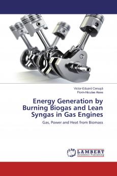 Energy Generation by Burning Biogas and Lean Syngas in Gas Engines