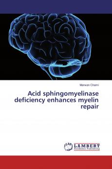 Acid sphingomyelinase deficiency enhances myelin repair