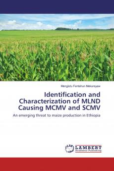Identification and Characterization of MLND Causing MCMV and SCMV
