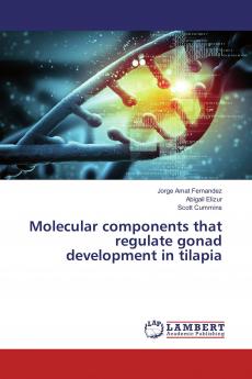 Molecular components that regulate gonad development in tilapia
