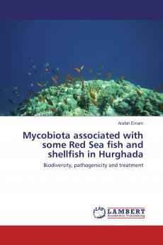 Mycobiota associated with some Red Sea fish and shellfish in Hurghada