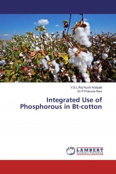 Integrated Use of Phosphorous in Bt-cotton
