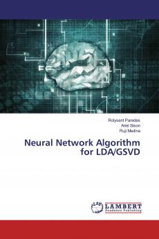 Neural Network Algorithm for LDA/GSVD