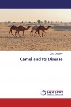 Camel and Its Disease