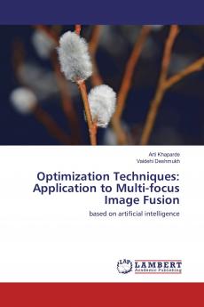 Optimization Techniques: Application to Multi-focus Image Fusion