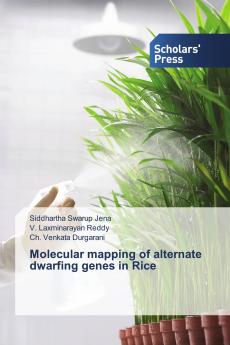Molecular mapping of alternate dwarfing genes in Rice