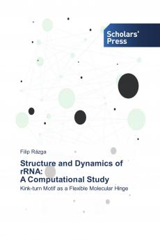 Structure and Dynamics of rRNA