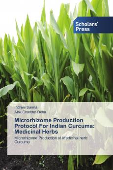 Microrhizome Production Protocol For Indian Curcuma