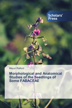 Morphological and Anatomical Studies of the Seedlings of Some FABACEAE