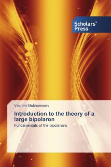 Introduction to the theory of a large bipolaron