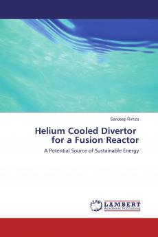 Helium Cooled Divertor for a Fusion Reactor