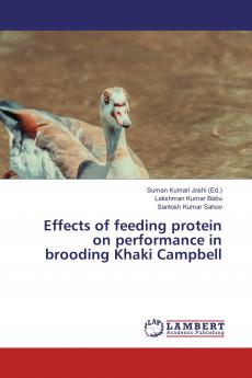 Effects of feeding protein on performance in brooding Khaki Campbell