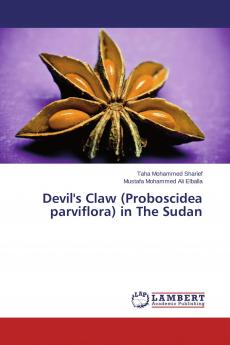 Devil's Claw (Proboscidea parviflora) in The Sudan