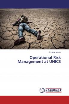 Operational Risk Management at UNICS
