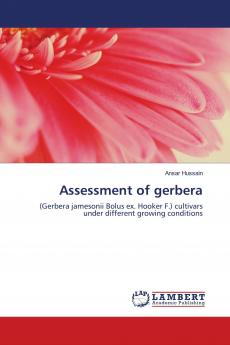 Assessment of gerbera
