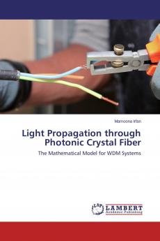 Light Propagation through Photonic Crystal Fiber
