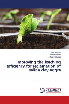Improving the leaching efficiency for reclamation of saline clay aggre