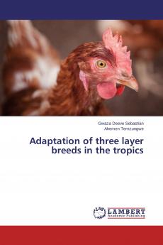 Adaptation of three layer breeds in the tropics