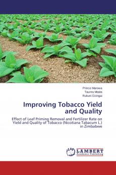 Improving Tobacco Yield and Quality
