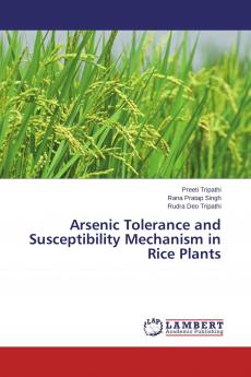 Arsenic Tolerance and Susceptibility Mechanism in Rice Plants