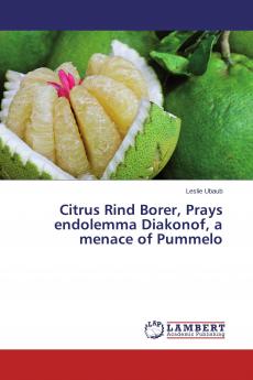 Citrus Rind Borer Prays endolemma Diakonof a menace of Pummelo