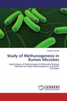 Study of Methanogenesis in Rumen Microbes