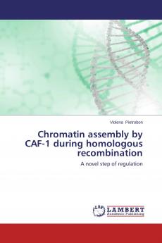 Chromatin assembly by CAF-1 during homologous recombination