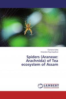 Spiders (Araneae