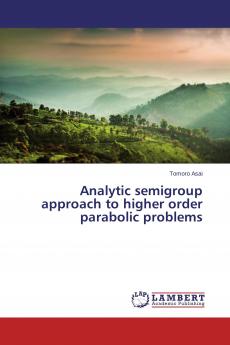 Analytic semigroup approach to higher order parabolic problems