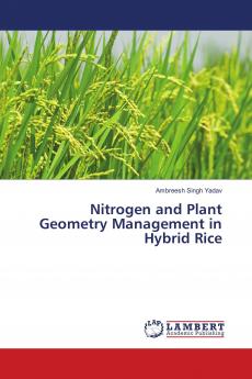 Nitrogen and Plant Geometry Management in Hybrid Rice