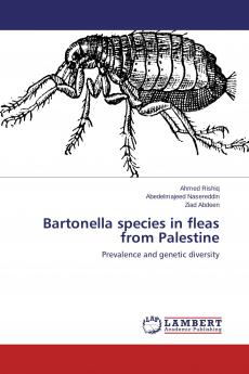 Bartonella species in fleas from Palestine