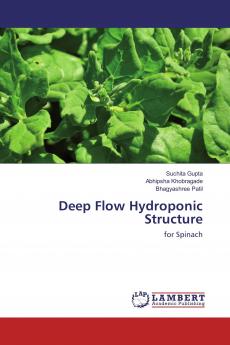 Deep Flow Hydroponic Structure