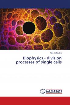 Biophysics - division processes of single cells
