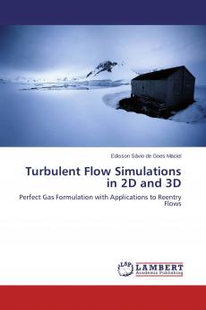 Turbulent Flow Simulations in 2D and 3D